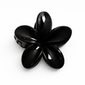 Pince à cheveux noir 8cm